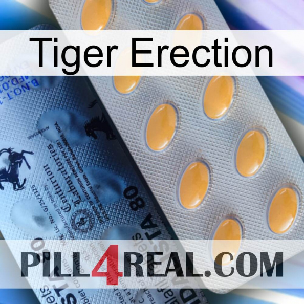 Tiger Erection 44.jpg